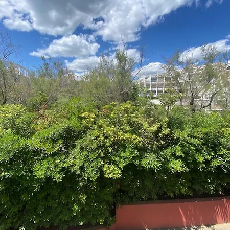 Vittoria Immobilier 4-Reglement Sur Place -Cheques Vacances Acceptes La Grande-Motte Exterior photo