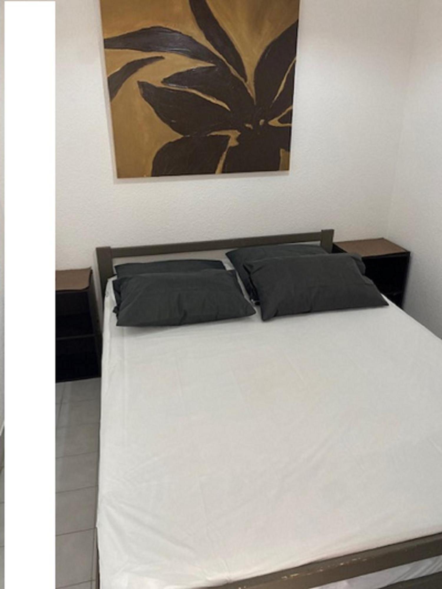 Vittoria Immobilier 4-reglement Sur Place -cheques Acceptes Appartement La Grande-Motte